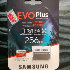 Samsung evo plus 256GB chip