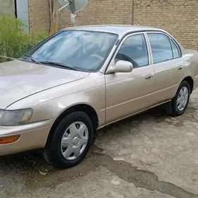 Toyota Corolla 1995