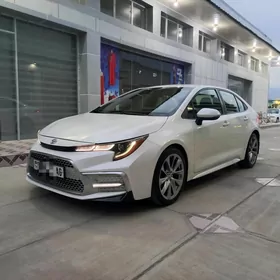 Toyota Corolla 2020