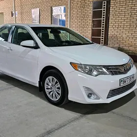 Toyota Camry 2013