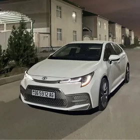 Toyota Corolla 2019