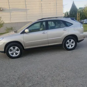 Lexus RX 330 2004