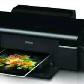 Epson L800 Printer