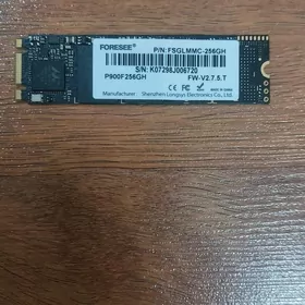 m2 ssd 256GB