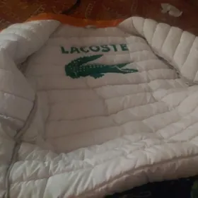 lacoste kurtga