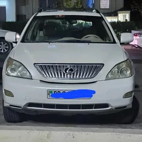 Lexus RX 330 2004