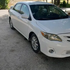 Toyota Corolla 2010