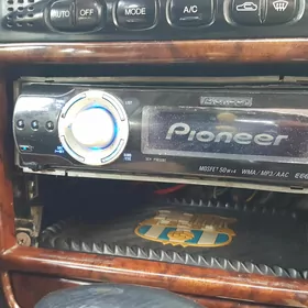 Pioneer Delfin