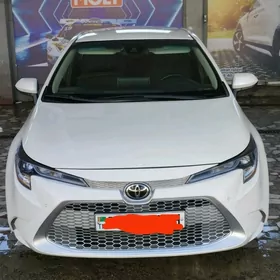 Toyota Corolla 2020