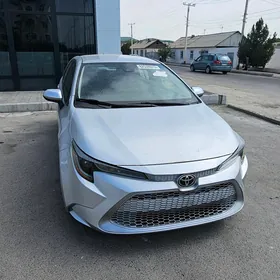 Toyota Corolla 2020