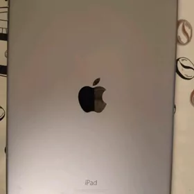 iPad pro