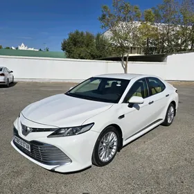 Toyota Camry 2019