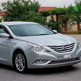 Hyundai Sonata 2010