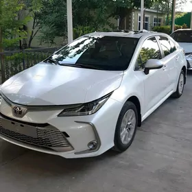 Toyota Corolla 2024