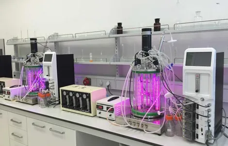 Türkmen biotehnologlary derini ýaşartmak üçin laktoza gelini işläp taýýarladylar
