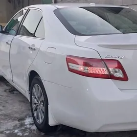 Toyota Camry 2010