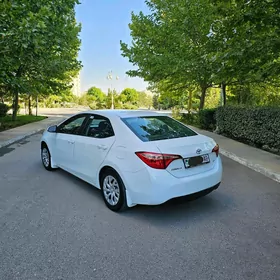 Toyota Corolla 2019