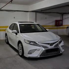 Toyota Camry 2019