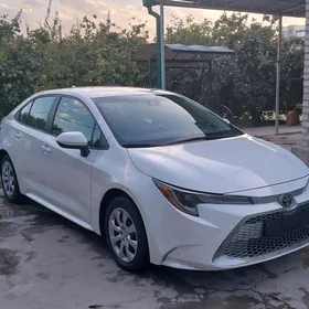 Toyota Corolla 2020