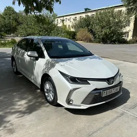 Toyota Corolla 2019