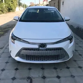 Toyota Corolla 2019