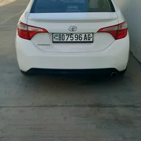 Toyota Corolla 2013