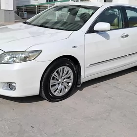 Toyota Camry 2010