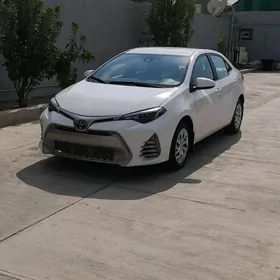 Toyota Corolla 2019