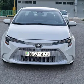 Toyota Corolla 2019