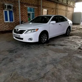 Toyota Camry 2010