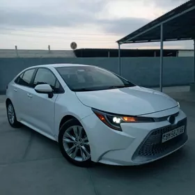 Toyota Corolla 2020