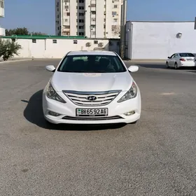 Hyundai Sonata 2010