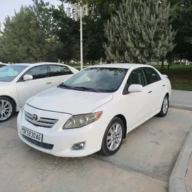 Toyota Corolla 2010