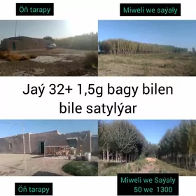 Jaý bagy bilen 1 -nji