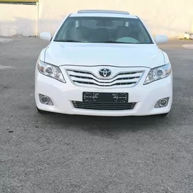 Toyota Camry 2010