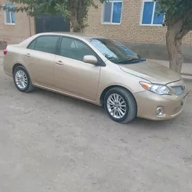 Toyota Corolla 2011