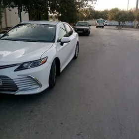 Toyota Camry 2019