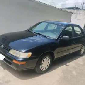 Toyota Corolla 1991