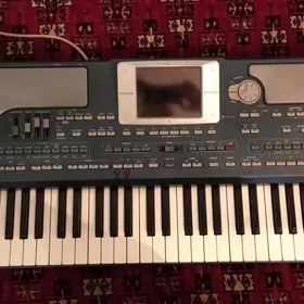 KORG PA 800