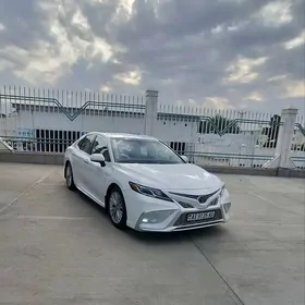 Toyota Camry 2019