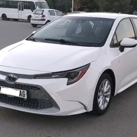 Toyota Corolla 2020