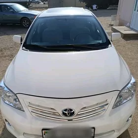 Toyota Corolla 2008