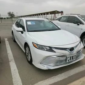 Toyota Camry 2019