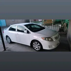 Toyota Corolla 2010