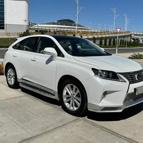 Lexus RX 350 2013