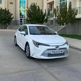 Toyota Corolla 2020