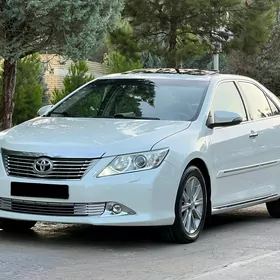 Toyota Aurion 2013