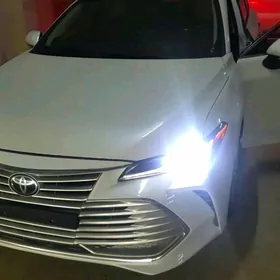 Toyota Avalon 2019