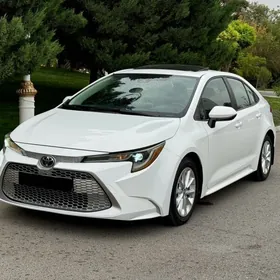 Toyota Corolla 2020