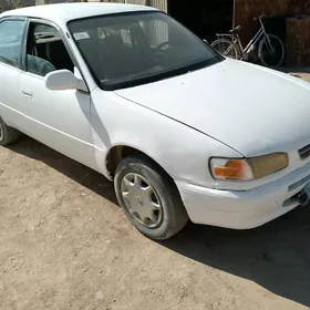 Toyota Corolla 1995